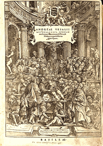 Odoo • Text and Image