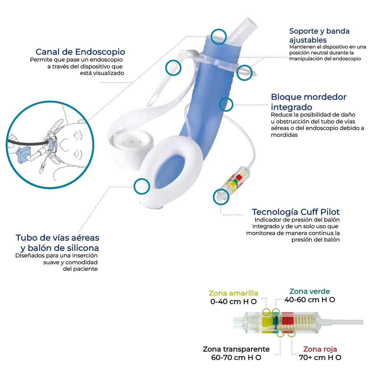 Odoo • Text and Image