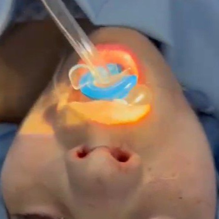 Equipo de la empresa