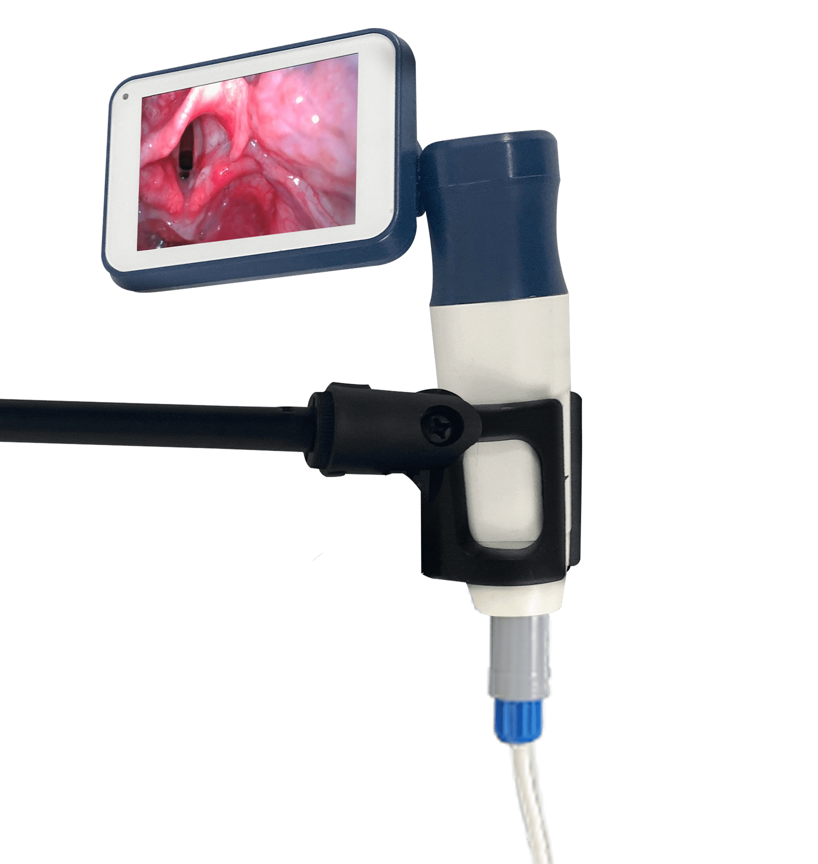 Odoo • Image and Text