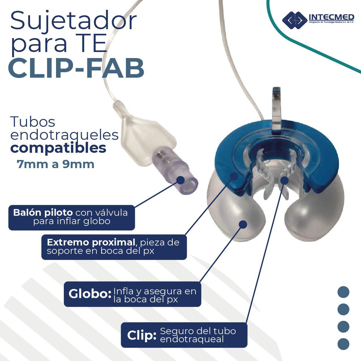 Odoo - Prueba 3 a tres columnas