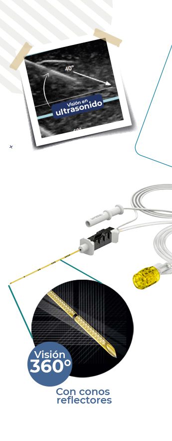 Odoo • Text and Image