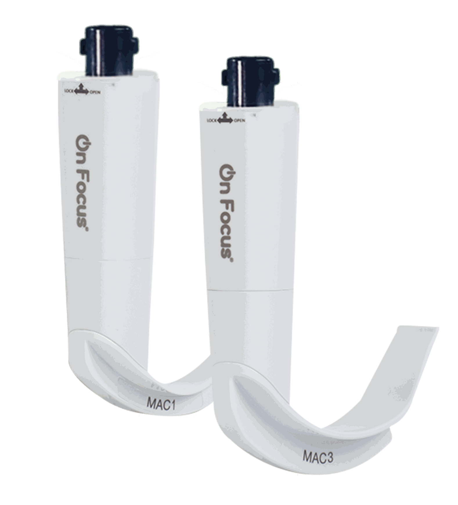 Equipo de la empresa