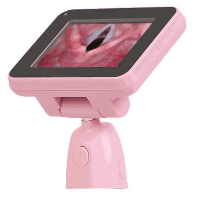 Equipo de la empresa